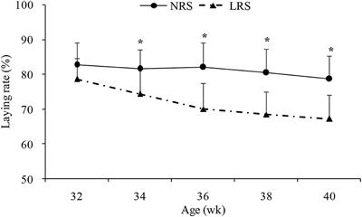 Different Non-cage Housing Systems Alter Duodenal and Cecal Microbiota Composition in Shendan Chickens